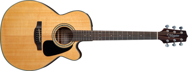 Guitare TAKAMINE LOCATION La rochelle charente maritime